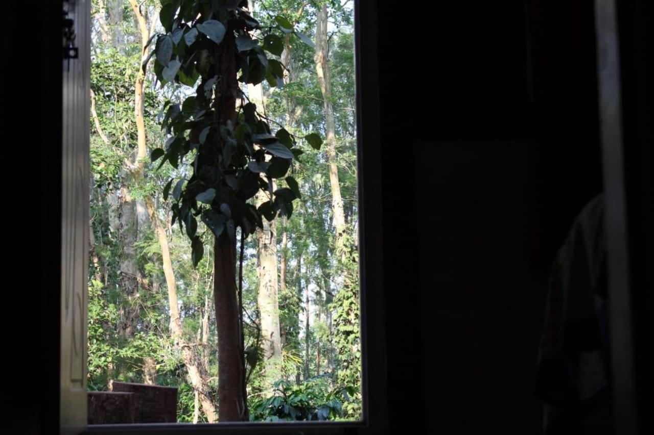 Kaikane Homestay Madikeri Extérieur photo