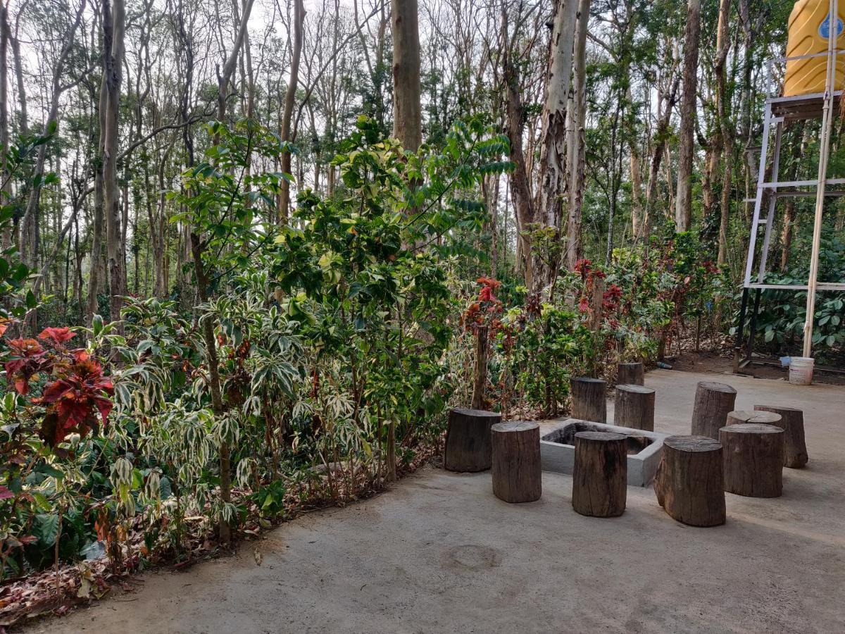 Kaikane Homestay Madikeri Extérieur photo